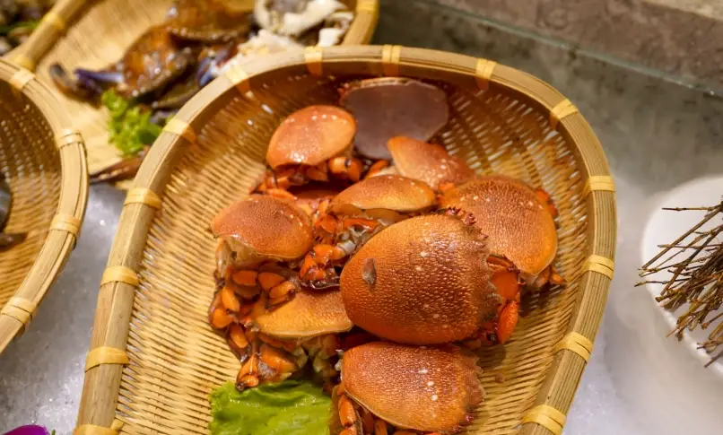 怡灣渡假酒店 早餐 怡灣渡假酒店 早餐