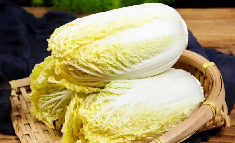 白菜黃化處理 白菜黃化處理