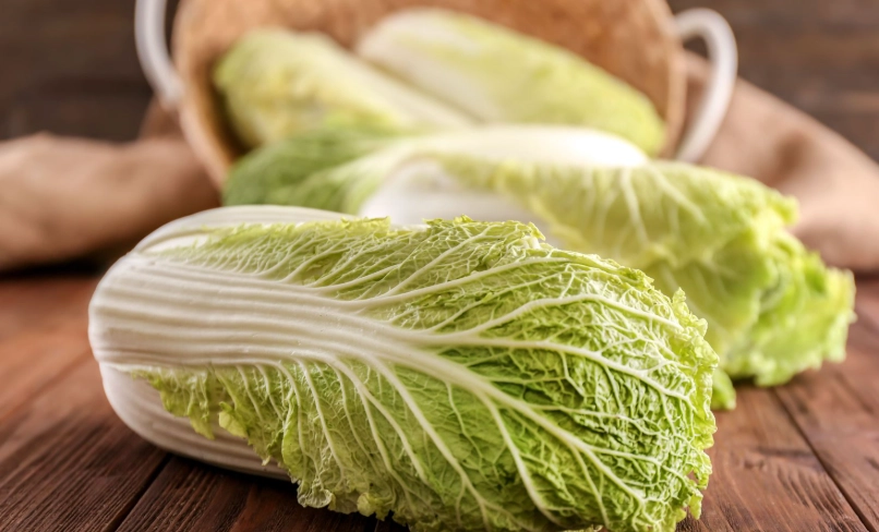 白菜變黃原因 白菜變黃原因