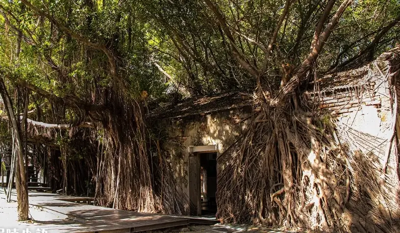 台南旅遊路線 台南旅遊路線