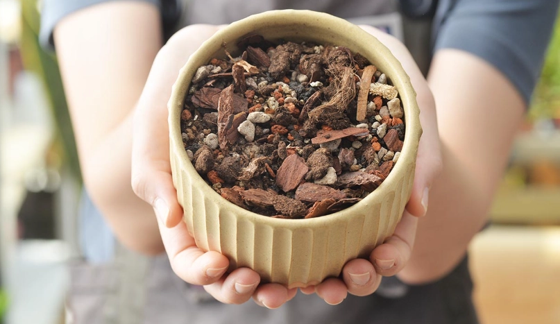 觀葉植物土壤混合