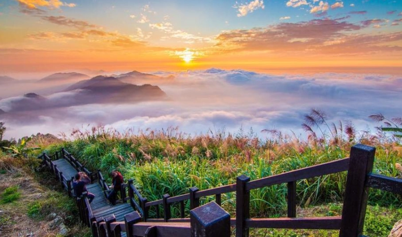 嘉義景點 年輕人 嘉義景點 年輕人