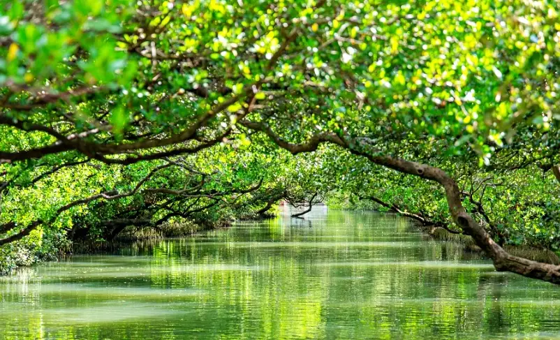 台南私房景點 台南私房景點