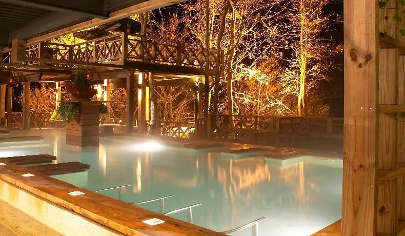 桃園溫泉 桃園溫泉