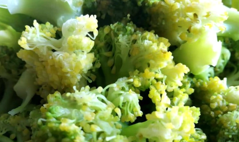 青花菜 黃化 處理 青花菜 黃化 處理