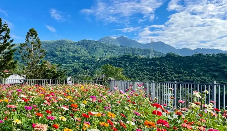 台南夕陽景點 台南夕陽景點