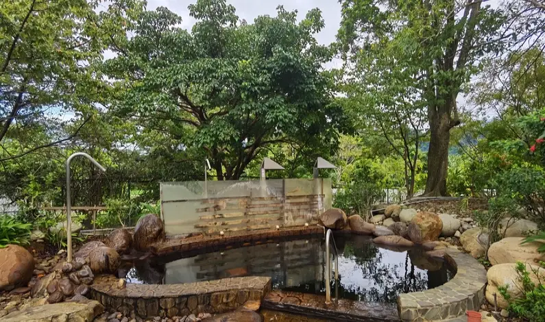 桃園大眾池 桃園大眾池