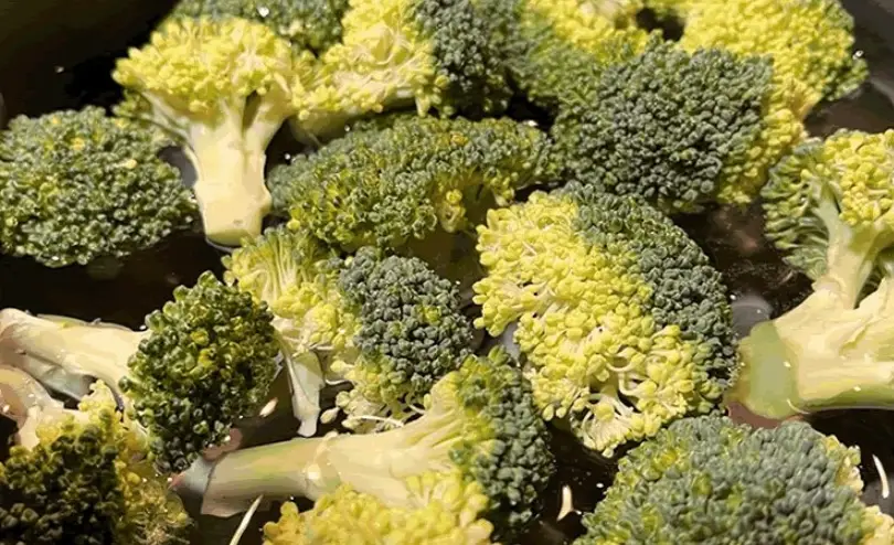 青花菜 黃化 處理