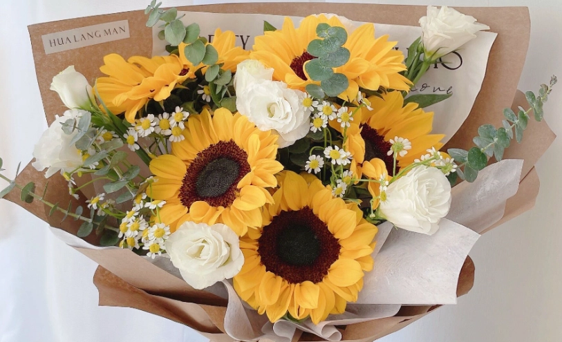 花卉花語 花卉花語