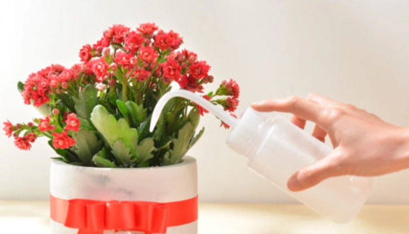 送花指南 送花指南