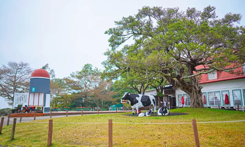 兩天一夜行程 兩天一夜行程