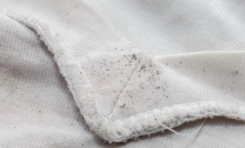 白色衣服發霉 白色衣服發霉