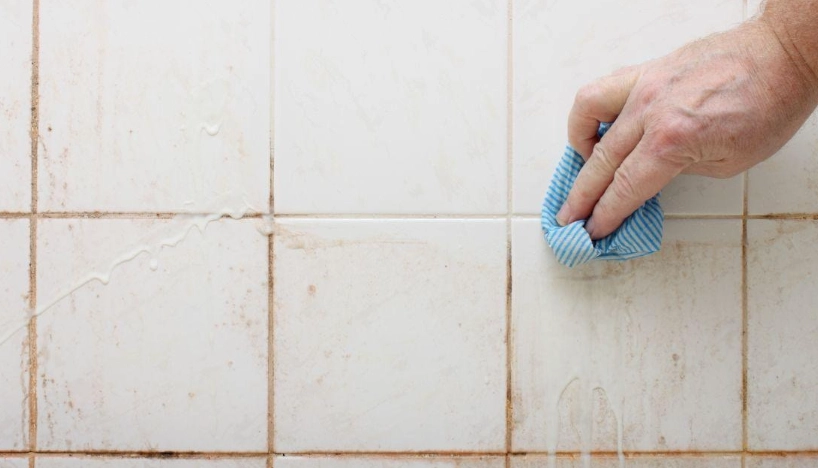 牆壁霉斑處理 牆壁霉斑處理