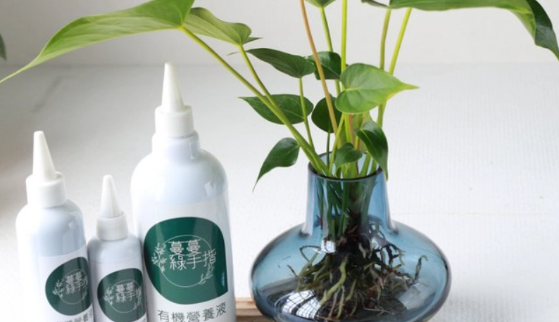 水耕蔬菜營養液