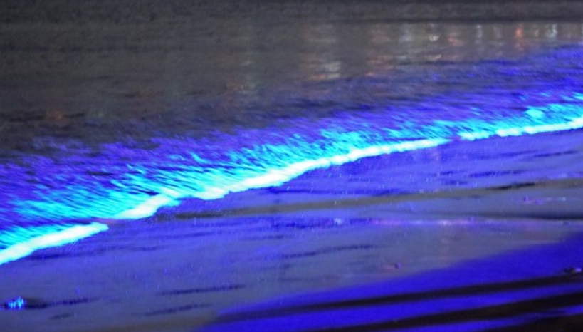 澎湖藍眼淚景點