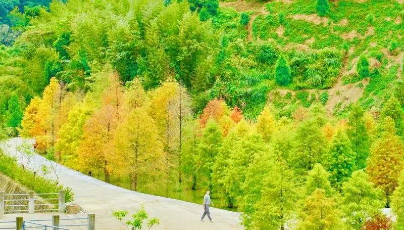 苗栗一日遊行程 苗栗一日遊行程
