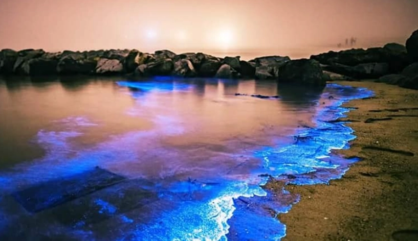 澎湖藍眼淚景點