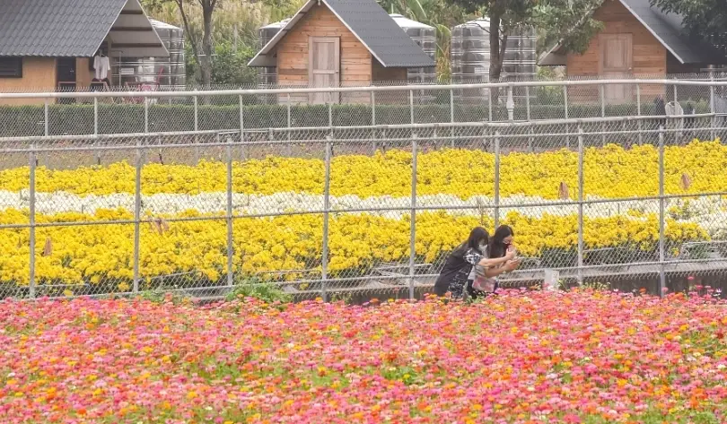 苗栗一日遊不開車