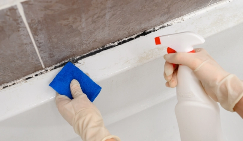 漂白水除霉 漂白水除霉