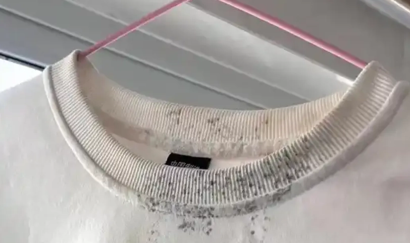 白色衣服發霉 白色衣服發霉