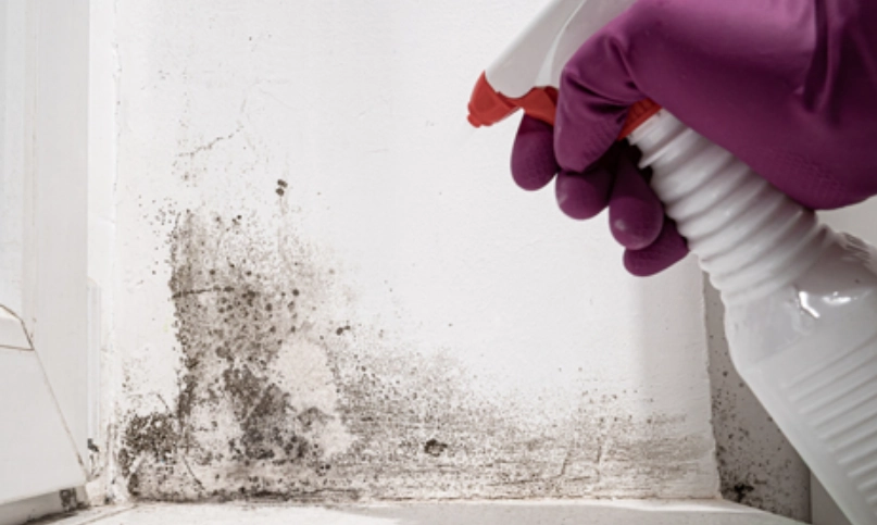 漂白水除霉 漂白水除霉