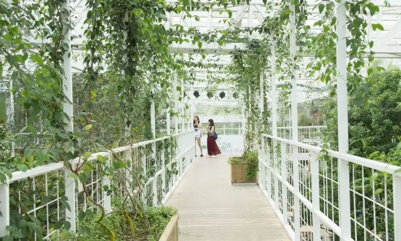 親子農場旅遊 親子農場旅遊
