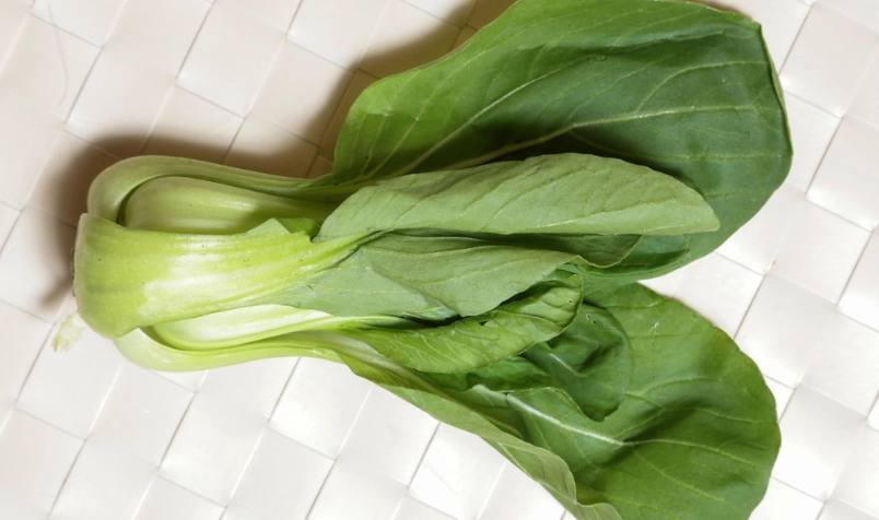 青江菜變黃原因 青江菜變黃原因