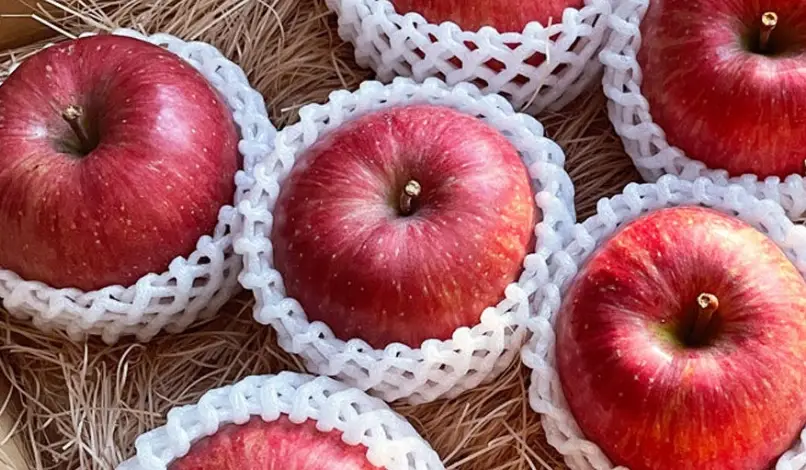 台灣入境食物規定