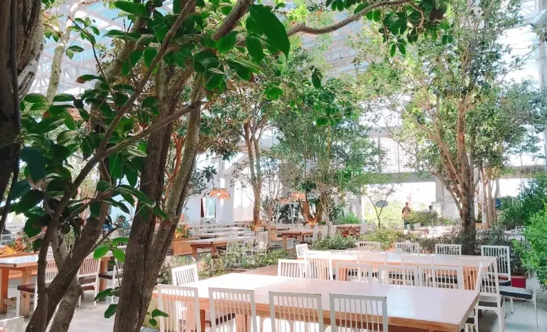 台灣農場體驗 台灣農場體驗