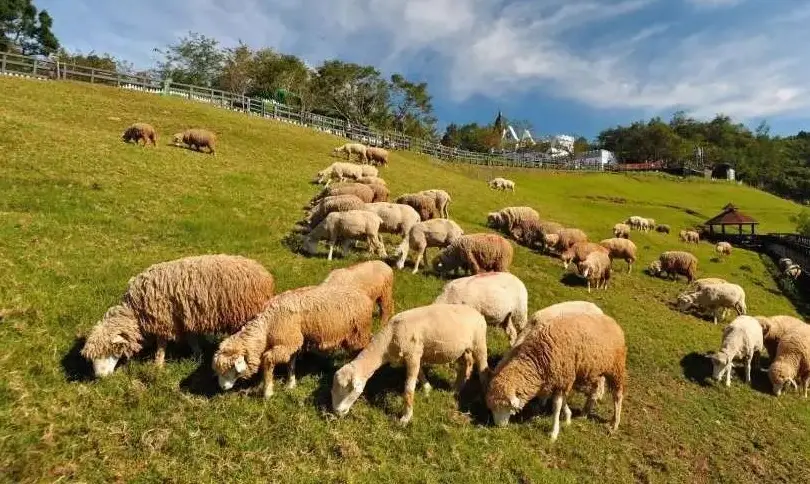 台灣農場體驗 台灣農場體驗