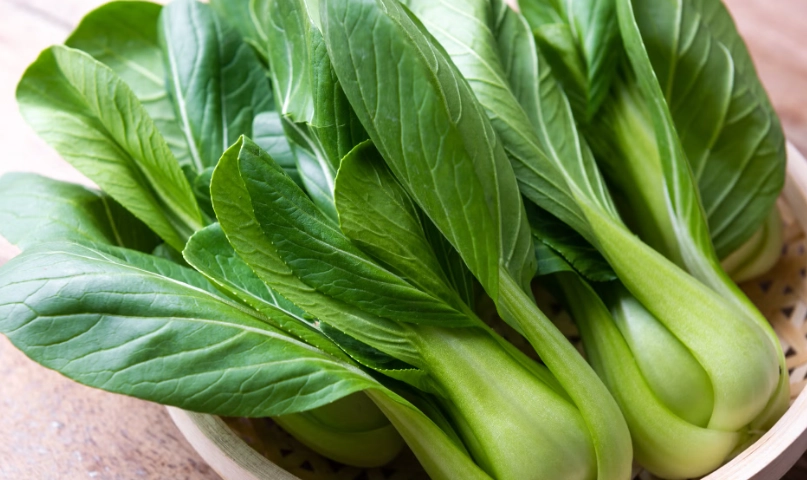 青江菜變黃原因 青江菜變黃原因