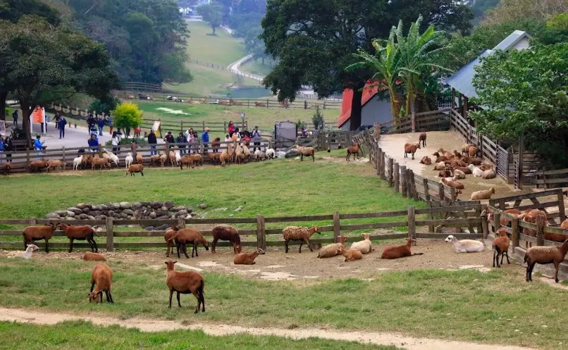 觀光農場推薦 觀光農場推薦