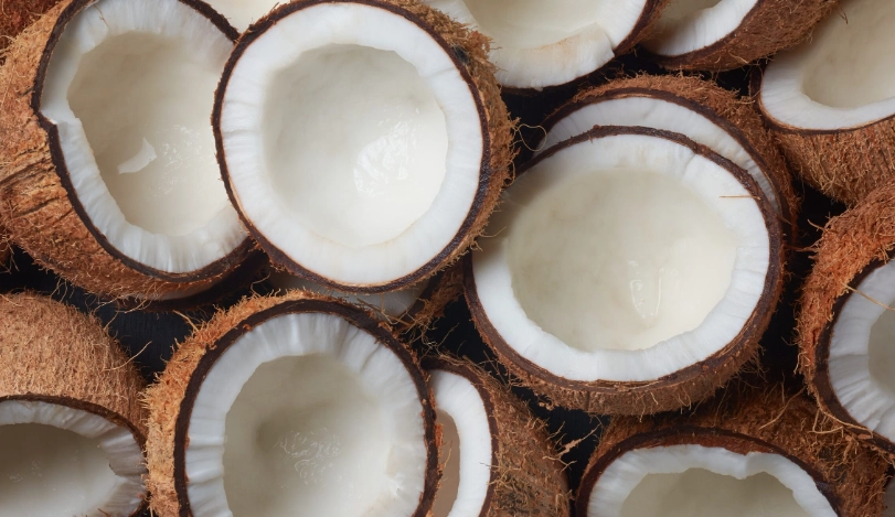椰子肉卡路里