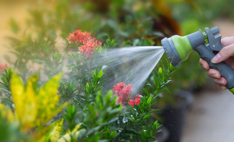 小蘇打澆花比例全攻略：正確稀釋、使用時機與常見錯誤解析