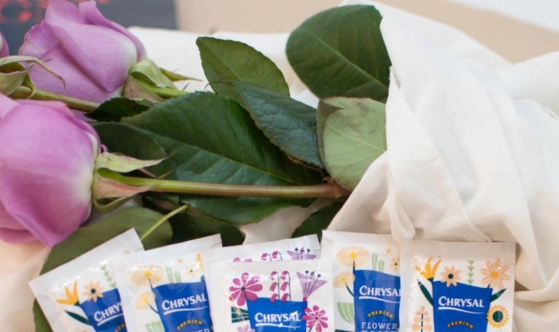 鮮花保鮮劑 自製