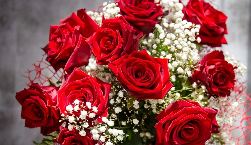 情人節花束推薦 情人節花束推薦