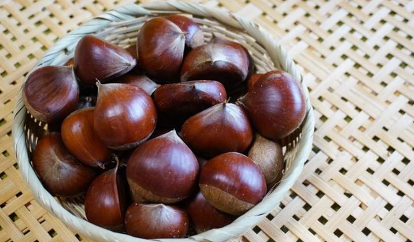栗子殼中藥