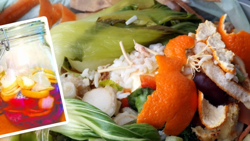 有機肥料DIY 有機肥料DIY