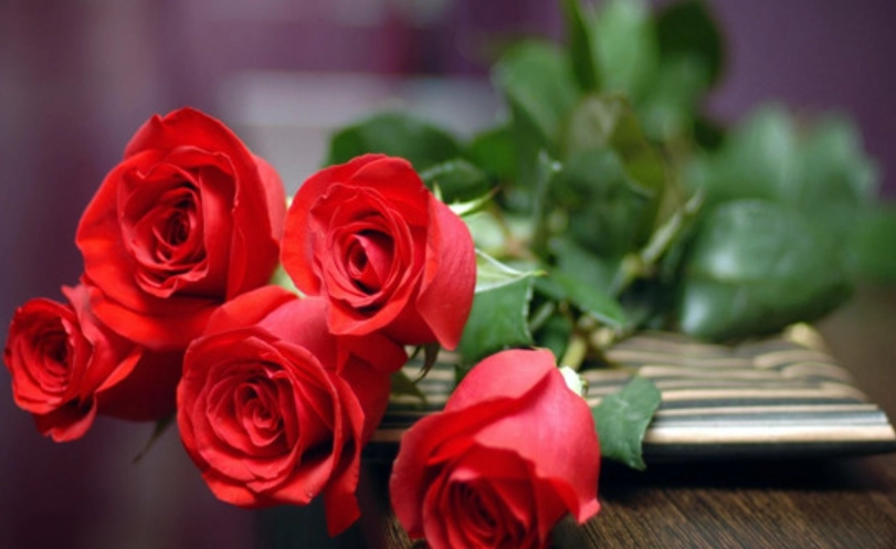 情人節送花花語