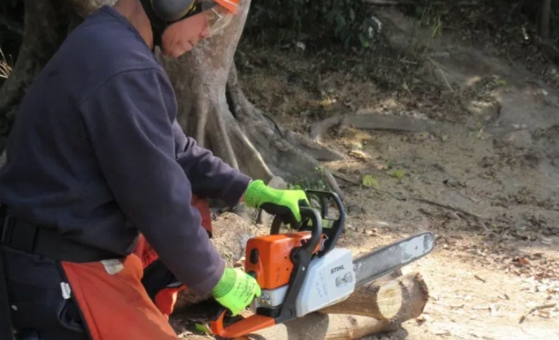 安全鋸樹 安全鋸樹