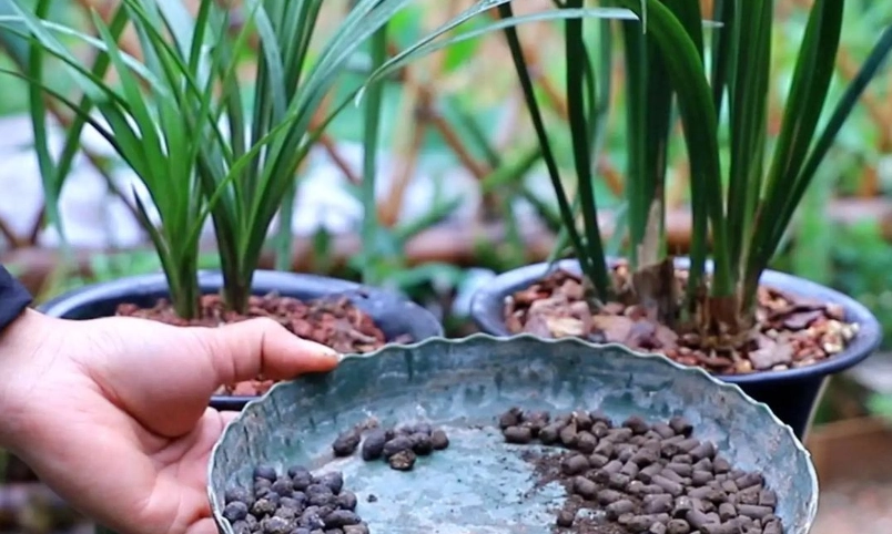 有機肥料DIY 有機肥料DIY