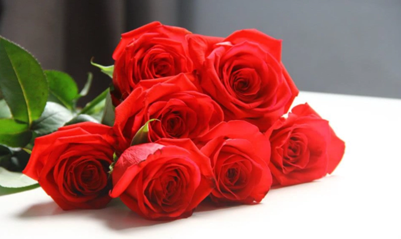 情人節花束推薦 情人節花束推薦