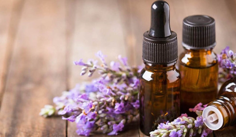 狗 可以 聞 的 精油