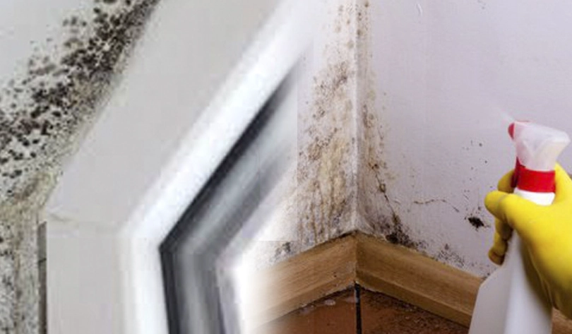 漂白水清潔比例