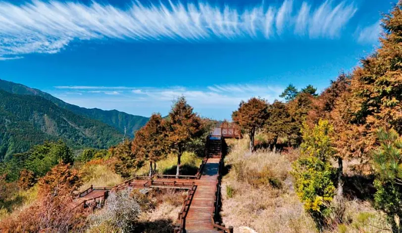 苗栗一日遊 苗栗一日遊