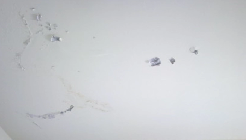 天花板潮濕掉漆