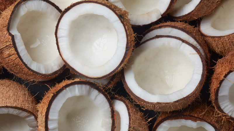 椰子肉功效