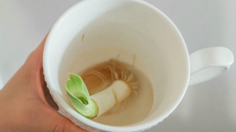 水耕肥料配方 水耕肥料配方