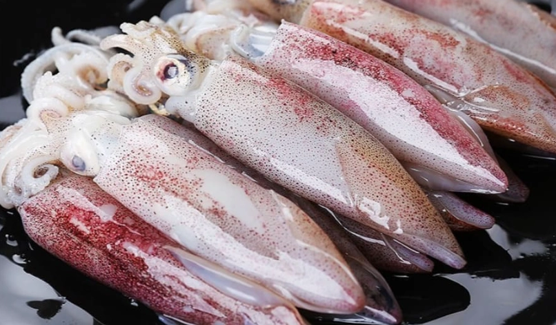 金門海產哪裡買 金門海產哪裡買