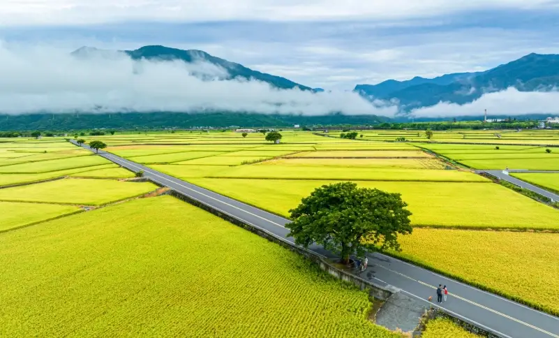 台灣自由行攻略
